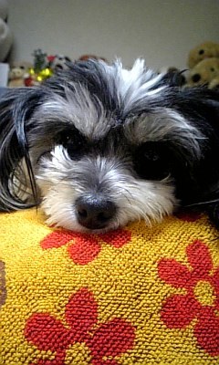 061127_232304.jpg