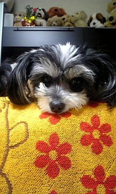 061127_232326.jpg